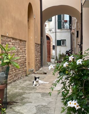 IMG_9734.jpg