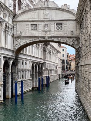 IMG_9597.jpg