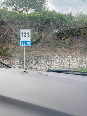 IMG_9259.jpg