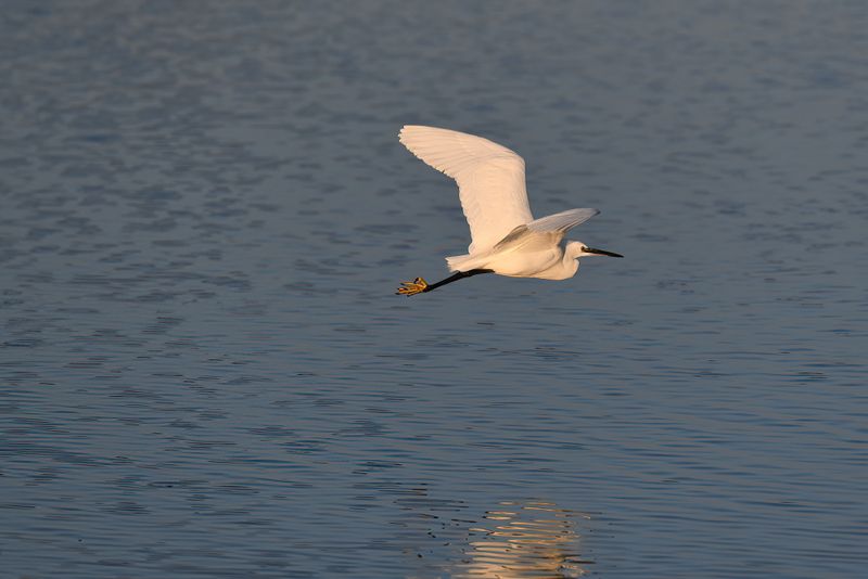850_5285-SharpenAI-Motion.jpg