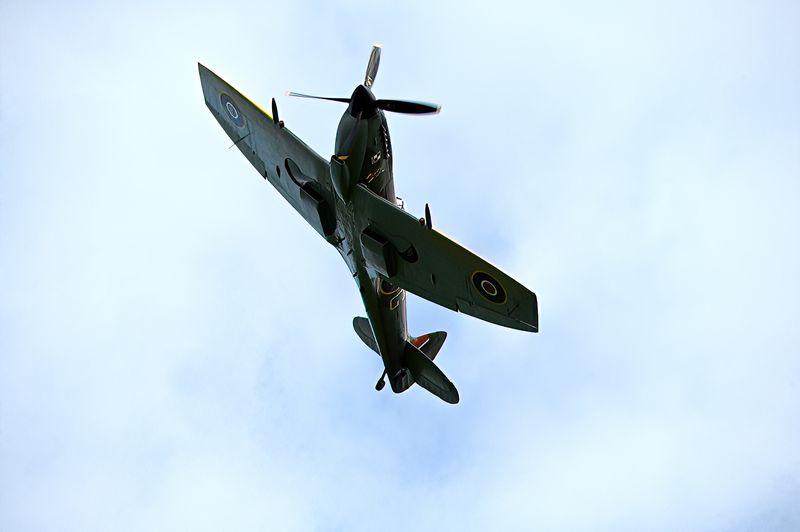 DSC_9743- Topaz.jpg