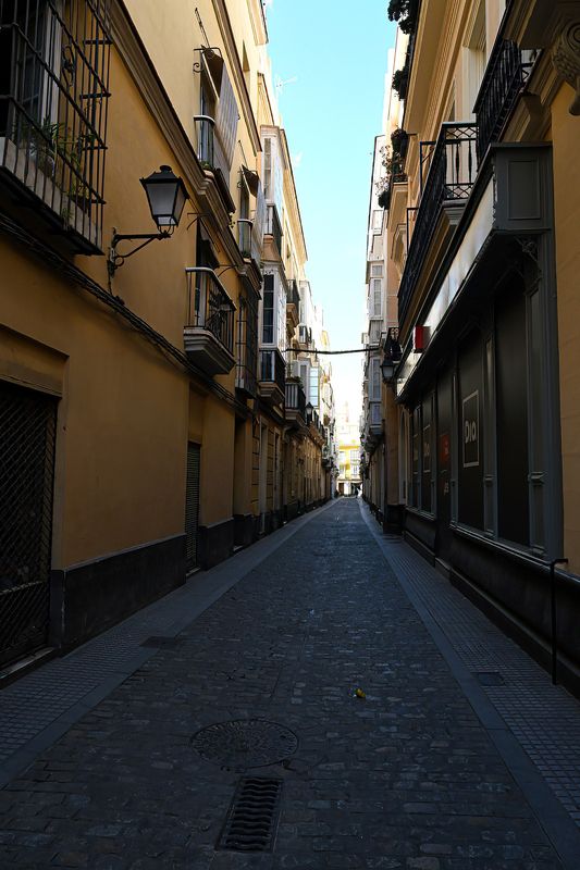 Lunchtime - Where did they go.JPG