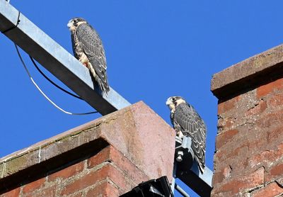 DSC_2179.JPG