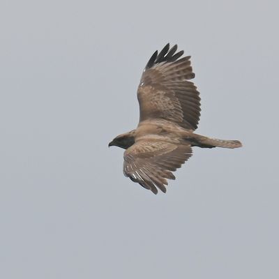 DSC_6948.JPG
