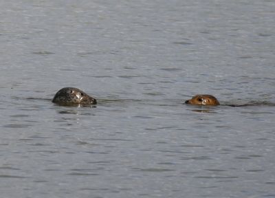 DSC_9982.JPG