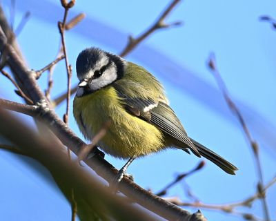 DSC_4279.JPG