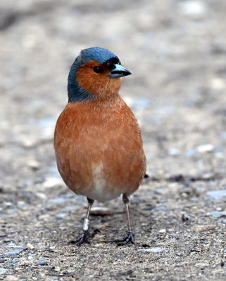 DSC_5382.JPG