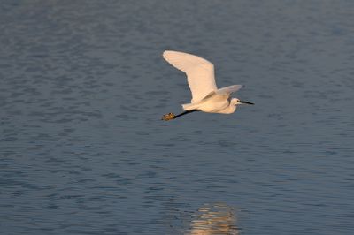 850_5285-SharpenAI-Motion.jpg