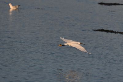 850_5295-SharpenAI-Motion.jpg