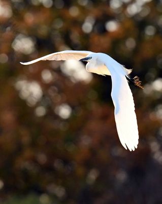 850_5390-SharpenAI-Motion.jpg