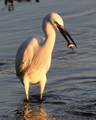 850_5539-SharpenAI-Motion.jpg