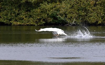 DSC_3449-SharpenAI-Motion.jpg