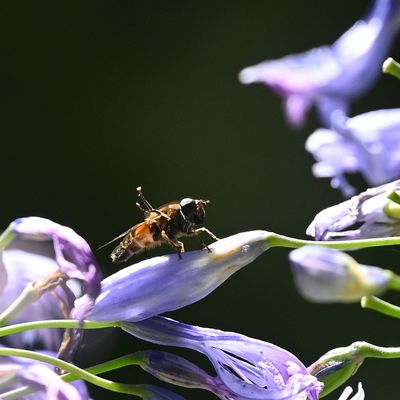 DSC_3884.JPG