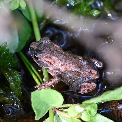 DSC_4054.JPG