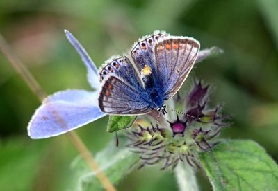 DSC_4472.JPG