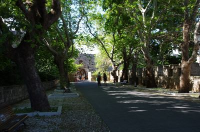 IMGP6116.JPG