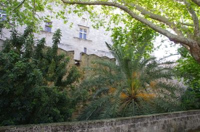 IMGP6118.JPG