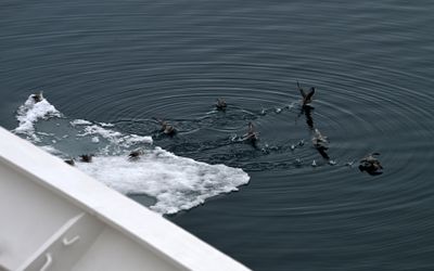 Abandon Ship !