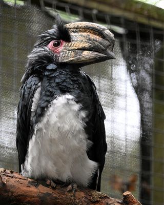 Z81_2474 - T.JPG
