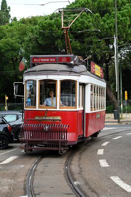 Our fearless Tram driver