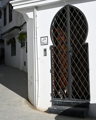 Big doors, small doors, but no cat door