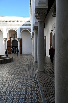 Courtyard Columns
