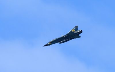 Z81_3564 - T.JPG