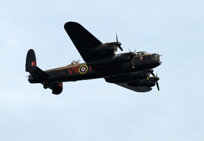 Z81_3648 - T.JPG