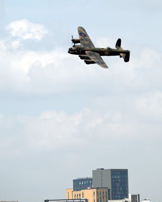 Z81_3662 - T.JPG