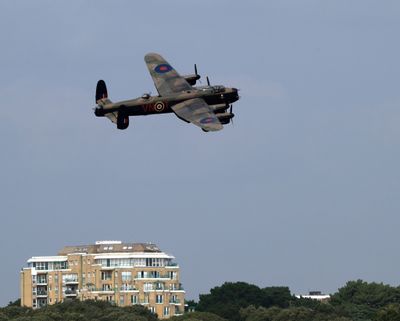 Z81_3823 - T.JPG