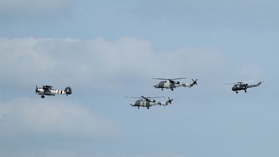 Z81_3926 - T.JPG