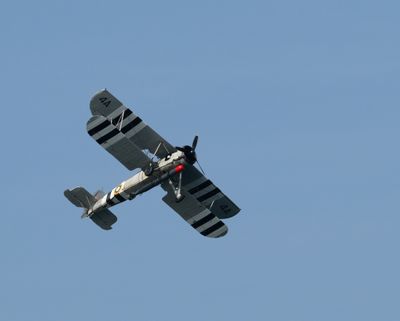 Z81_3957 - T.JPG