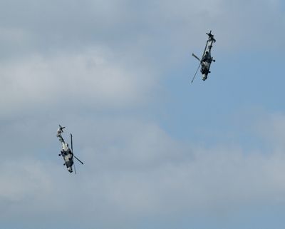 Z81_4000 - T.JPG