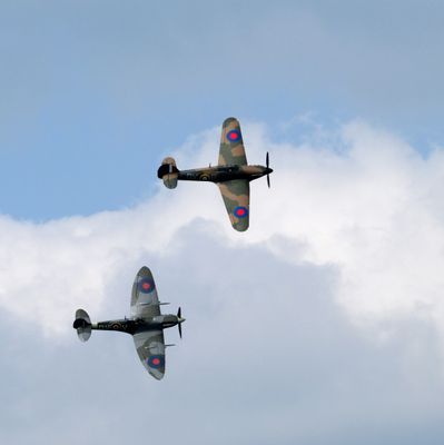 Z81_4039 - T.JPG