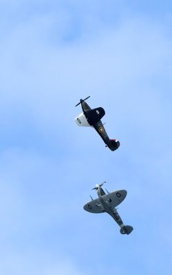Z81_4049 - T.JPG