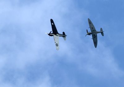 Z81_4056 - T.JPG