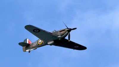 Z81_4106 - T.JPG