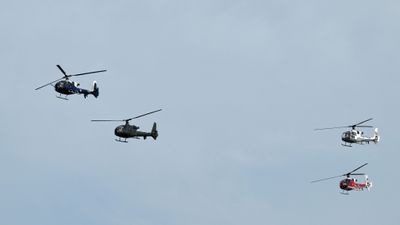 Z81_4193 - T.JPG