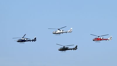 Z81_4231 - T.JPG