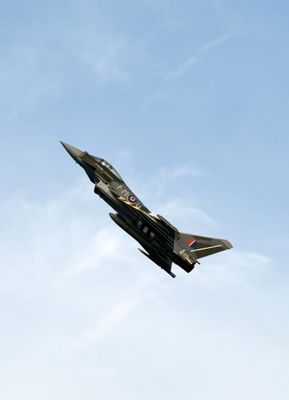 Z81_4327 - T.JPG