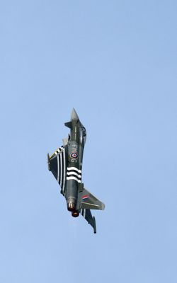 Z81_4336 - T.JPG