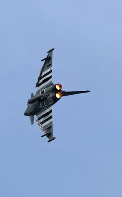 Z81_4372 - T.JPG