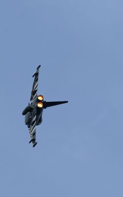 Z81_4373 - T.JPG