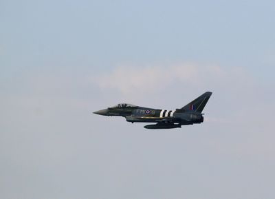 Z81_4400 - T.JPG