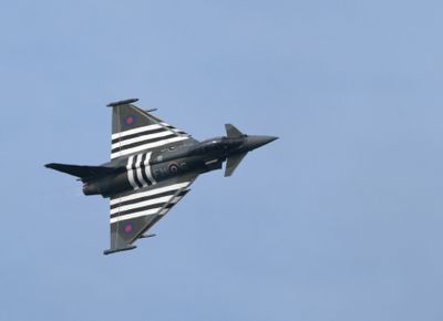 Z81_4406 - T.JPG
