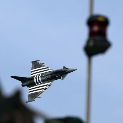 Z81_4411 - T.JPG