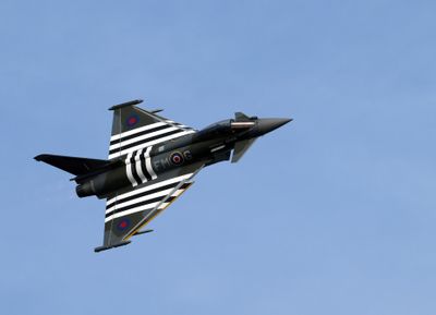 Z81_4414 - T.JPG