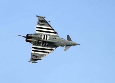 Z81_4420 - T.JPG