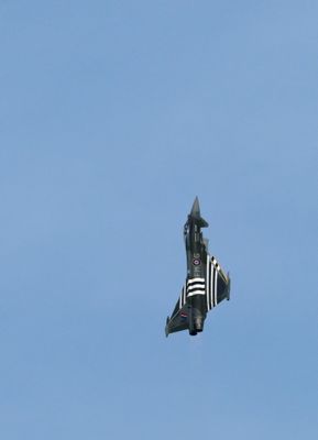 Z81_4535 - T.JPG