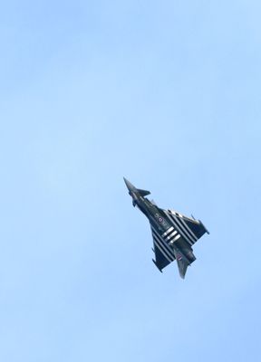 Z81_4541 - T.JPG
